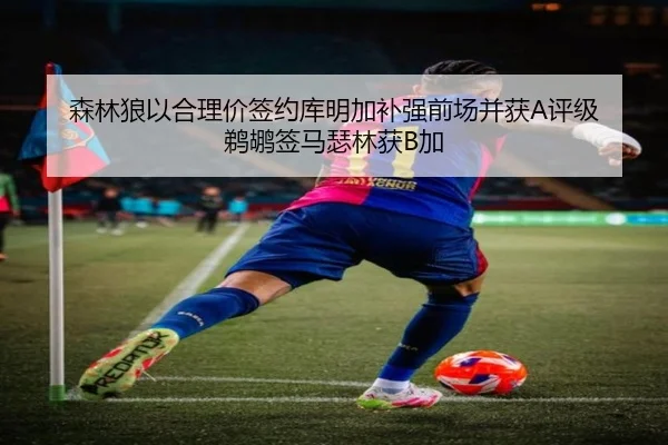 森林狼以合理价签约库明加补强前场并获A评级 鹈鹕签马瑟林获B加 - MILANSPORT